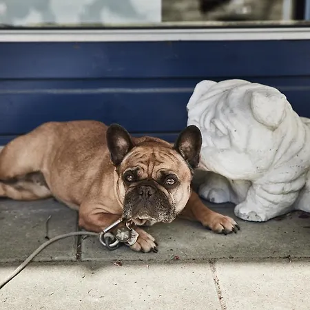 Danhostel Sandvig Allinge-Sandvig