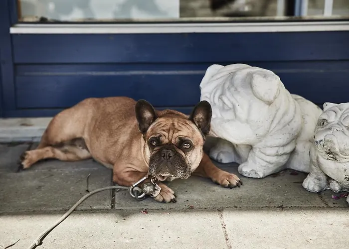 Danhostel Sandvig Аллинге